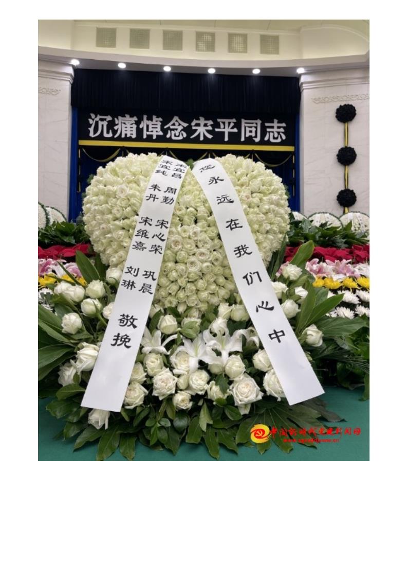 中经在线--深切缅怀革命前辈 传承红色初心使命——参加宋平同志追悼会有感_12